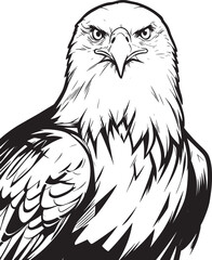 bald-eagle-looking-into-camera-with-blurred-background vector line art