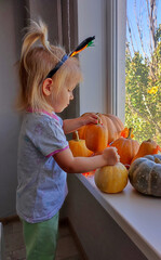 A child decorates pumpkins on a windowsill for the autumn holidays of Halloween and Thanksgiving.