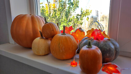A pumpkin arrangement on a windowsill serves as a decoration for autumn holidays. Halloween and...