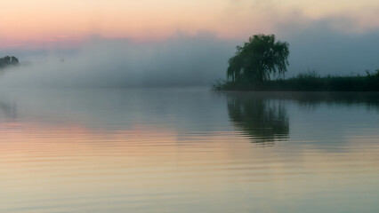 Fototapeta premium Tranquil Lake at Dawn Mirroring the Sky with Pastel Hues and Silhouetted Willow Tree - nature photography