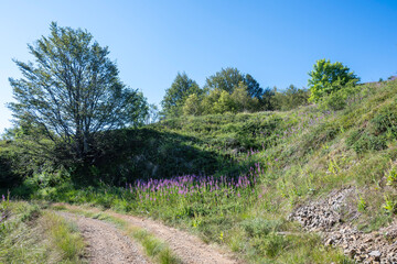 Obraz premium Belasitsa Mountain around Kongur peak, Bulgaria