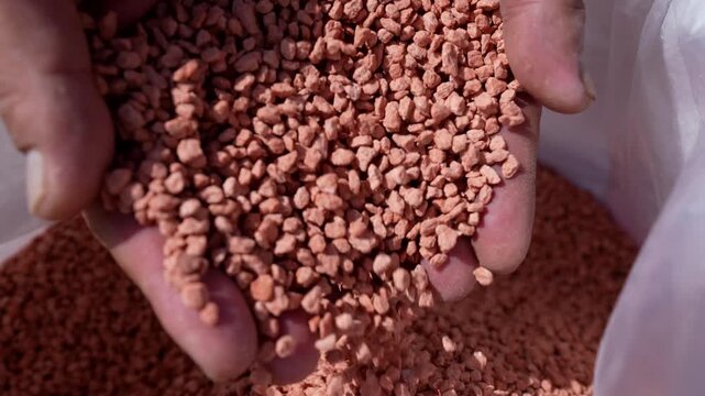 Hand holding potassium fertilizer granules, crop yield enhancement, food security, agricultural productivity