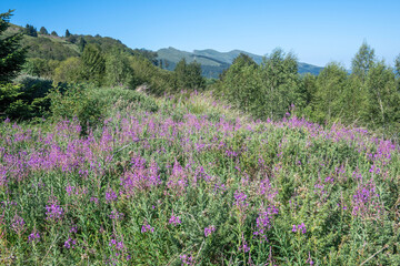 Belasitsa Mountain around Kongur peak, Bulgaria