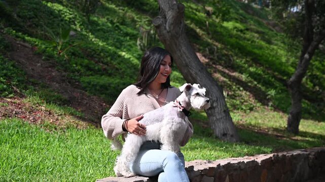 Beautiful woman sitting on a stone wall petting and cuddling her cute miniature schnauzer dog