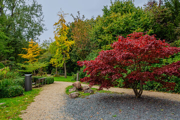 Wonderful autumn views of Amstelpark. Amstelpark located between Amstel and Europaboulevard....