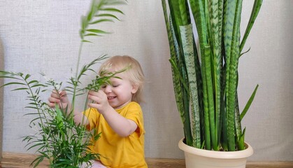 A little girl helps water and replant indoor plants, fun, smiles and laughter in the process