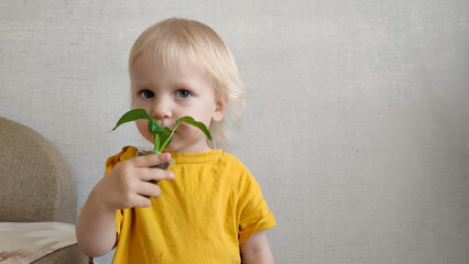 A little girl helps water and replant indoor plants, fun, smiles and laughter in the process