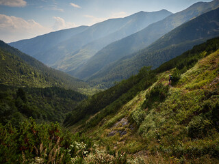 Tatry Zachodnie, Západné Tatry - na grani Otargańców