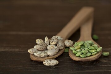 A rustic and healthy arrangement of pinto beans, pumpkin seeds, and chickpeas in wooden spoons. Ideal for recipes, healthy eating, and vegetarian and vegan meals.