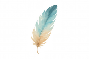 Delicate watercolor feather painting, blending light blue and beige colors, representing fluidity and softness, on transparent background