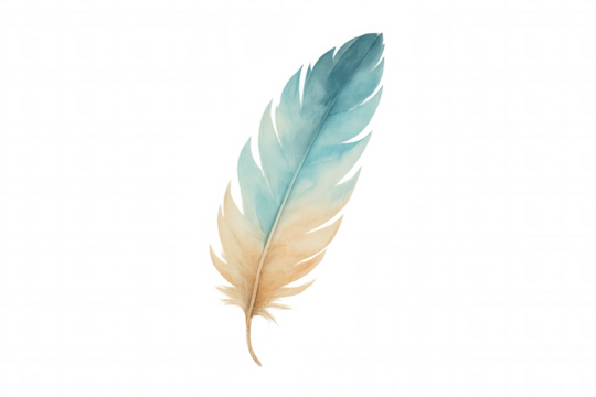Delicate watercolor feather painting, blending light blue and beige colors, representing fluidity and softness, on transparent background