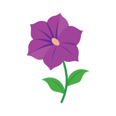 petunia flower flat vector illustration