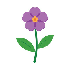 primrose flower flat vector illustration