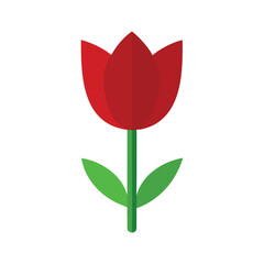 red tulip flat vector illustration
