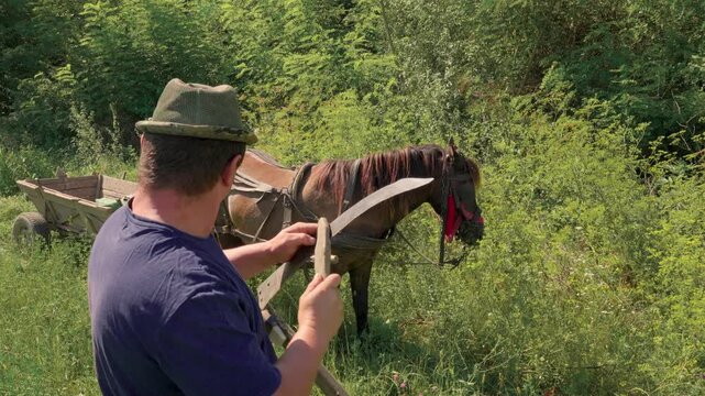 Farmer sharpening scythe blade in a green field