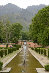 Fototapeta premium Nishat garden Bagh is a popular tourist attraction, Nishat Bagh is a 12-tiered terraced garden located near the famous Dal Lake in Srinagar. It is the second largest Mughal garden in Kashmir.