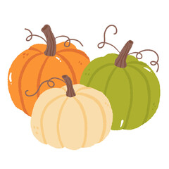 Hand Drawn Pumpkins Illustration Cozy Fall Harvest Vegetables Autumn Farm Orange Green Cream Pumpkin Art