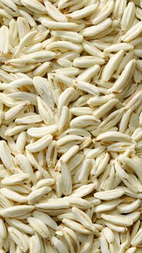 Close Up Vertical Shot of Aromatic Fennel Seeds.