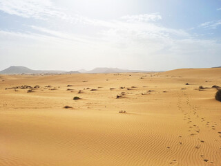 landscape in Corralejo Natural Park, Fuerteventura, Canary Islands, Spain