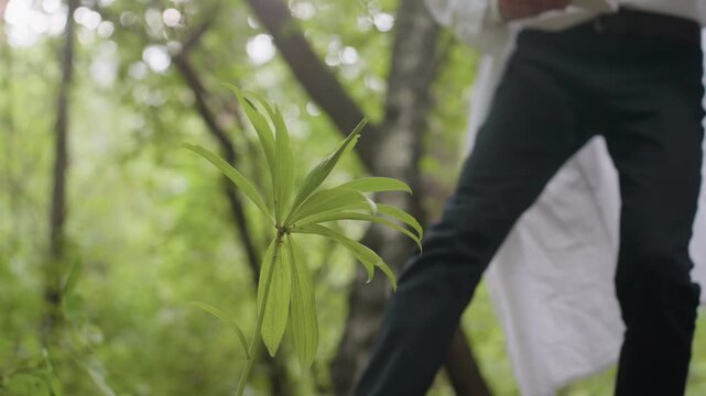 Young ecologist in white coat holding jotter bending down to observe flower in forest, focusing on plant study using microscope, ecological research, and documentation in blurred background