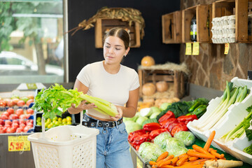 Girl buyer collects selects products in store according to list for weekly purchase. Young female customer made beeline for fresh produce section, pick bunch greenery celery and puts it in basket.