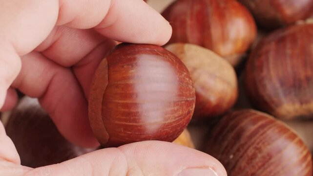 Fresh chestnut, supermarket food, Oven roasted chestnuts with sliced peel on wooden board, spanish traditional winter dish.
