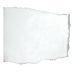 Isolated, ragged-edged, white paper fragment on a black background