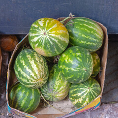 Top View of Watermelons in Box Farmers Market