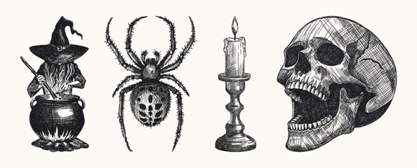gothic halloween set isolated with witch stirring cauldron realistic spider melting candle in vintage holder human skull hand drawn sketch line art shading detailed vector greeting card design