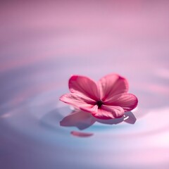 Pink Flower Petal Reflection on Water Surface: Serenity, Calmness, and Natural Beauty in a Meditative Setting