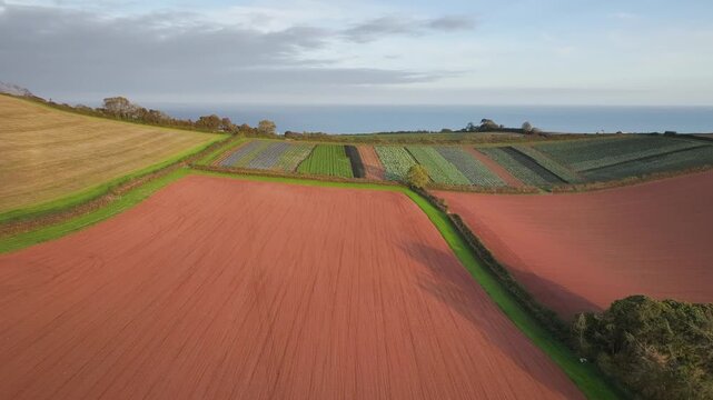 Colours of autumn Fields and Farms from a drone, Sheldon, Devon, England