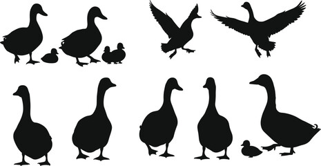  Duck and goose silhouettes vector illustration, flying ducks and ducklings family, wildlife bird collection, black animal shapes for design and print