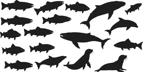 Marine animal silhouettes collection, fish, whale, dolphin, and seal vector illustration, aquatic wildlife icons, underwater ocean life design elements set