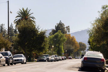 Tree lined view of a neighborhood near downtown Corona, California, USA.