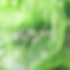 Fototapeta premium Soft Focus Fresh Green Abstract Gradient Background