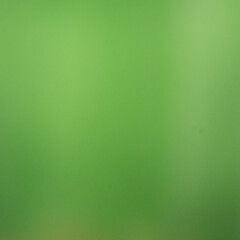 Soft Green Gradient Background. Minimal Blurred Abstract Texture for Calm and Organic Design