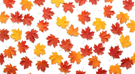 Autumn leaves in vibrant red, orange, and yellow hues scattered across a white background, evoking the spirit of fall
