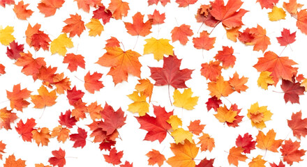 Autumn Leaves A Colorful Symphony of Fall Foliage on White
