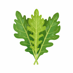 Green arugula leaves isolated with transparent background