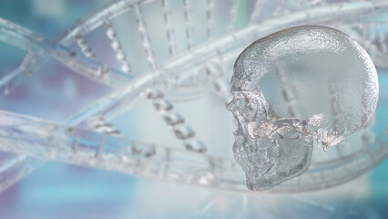 The Skull for Education or Sci concept 3d Rendering.