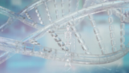 The Crystal Skelton for Sci or education concept 3d Rendering.