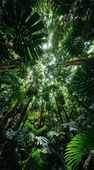 Obraz premium Lush green forest with tall trees and leaves. The trees are so tall that they are almost touching the sky