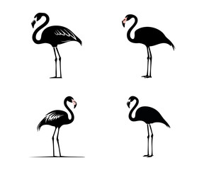 Obraz premium Four black flamingo silhouettes with pink beaks on a white background.