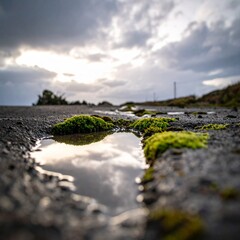 Naklejka premium Shallow Puddle and Moss on Damp Concrete Under Overcast Sky