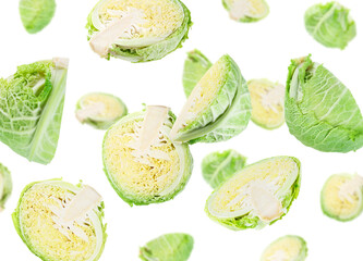 Fresh Savoy cabbage flying in air against white background