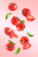 Fresh tomatoes and basil leaves flying on pink gradient background
