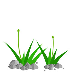 Grass and Rock Graphics