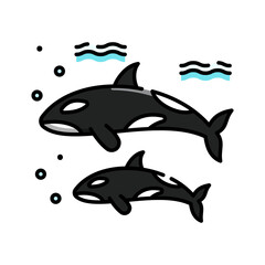 Two Orca Whales Swimming Together in Clear Blue Water with Bubbles and Waves Above