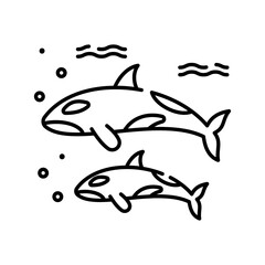 Two Orca Whales Swimming Together Underwater Oceanic Scene Simple Outline Style Artistic Illustration