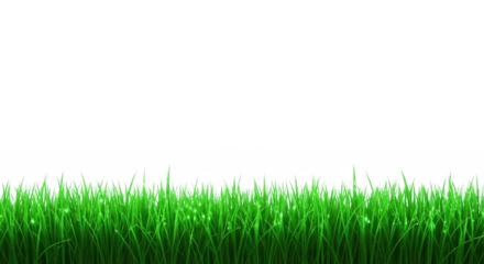 Lush green grass against image isolated illuustration on transparent background